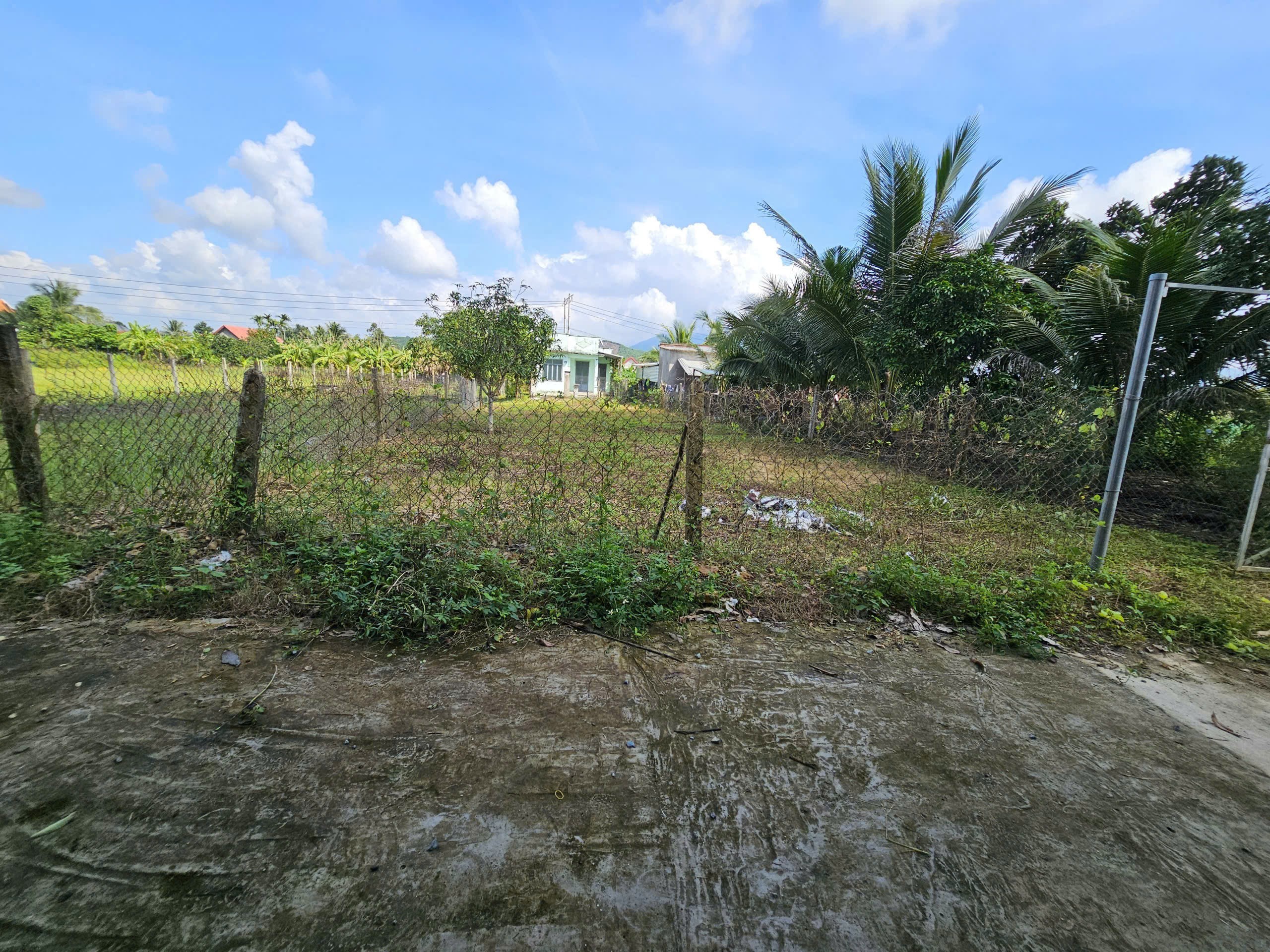 Bán đất Diên Thọ giá rẻ full thổ cư gần Tỉnh Lộ 2 - phù hợp đầu tư xây nhà vườn 8