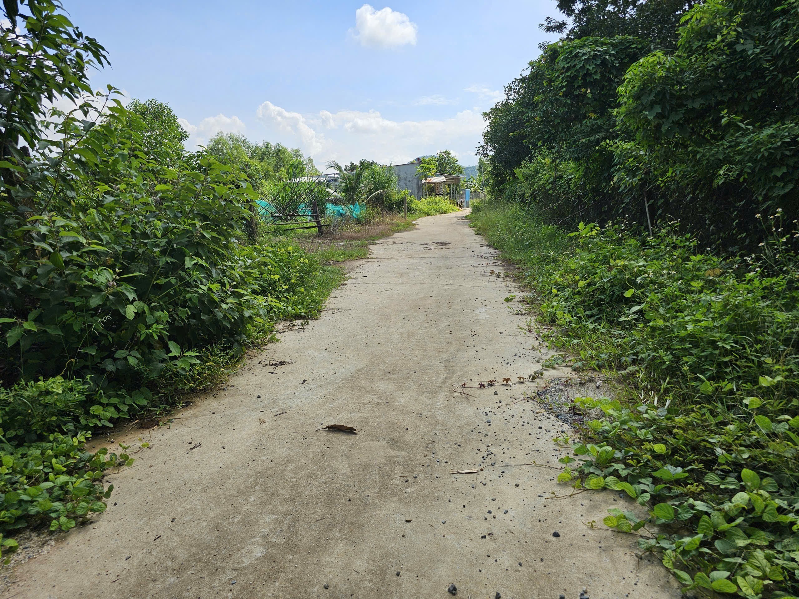 Bán đất Diên Thọ giá rẻ full thổ cư gần Tỉnh Lộ 2 - phù hợp đầu tư xây nhà vườn 11