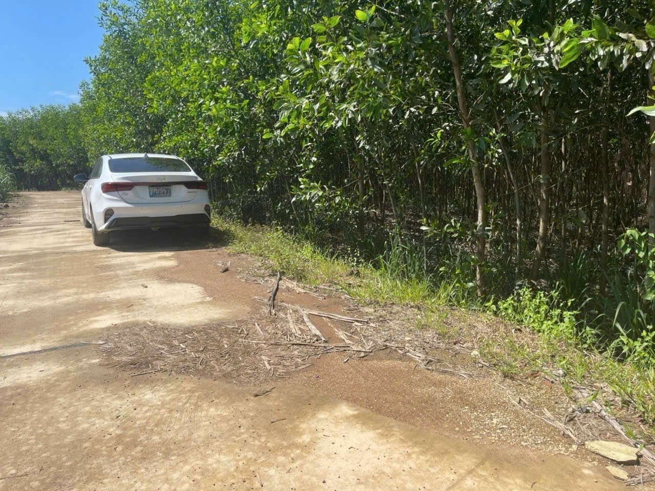 Bán đất vườn Diên Đồng giá rẻ đường bê tông oto vào tận nơi - tặng vườn keo trên đất 2