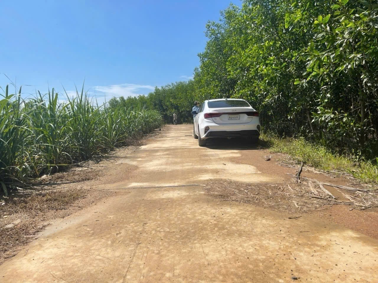 Bán đất vườn Diên Đồng giá rẻ đường bê tông oto vào tận nơi - tặng vườn keo trên đất