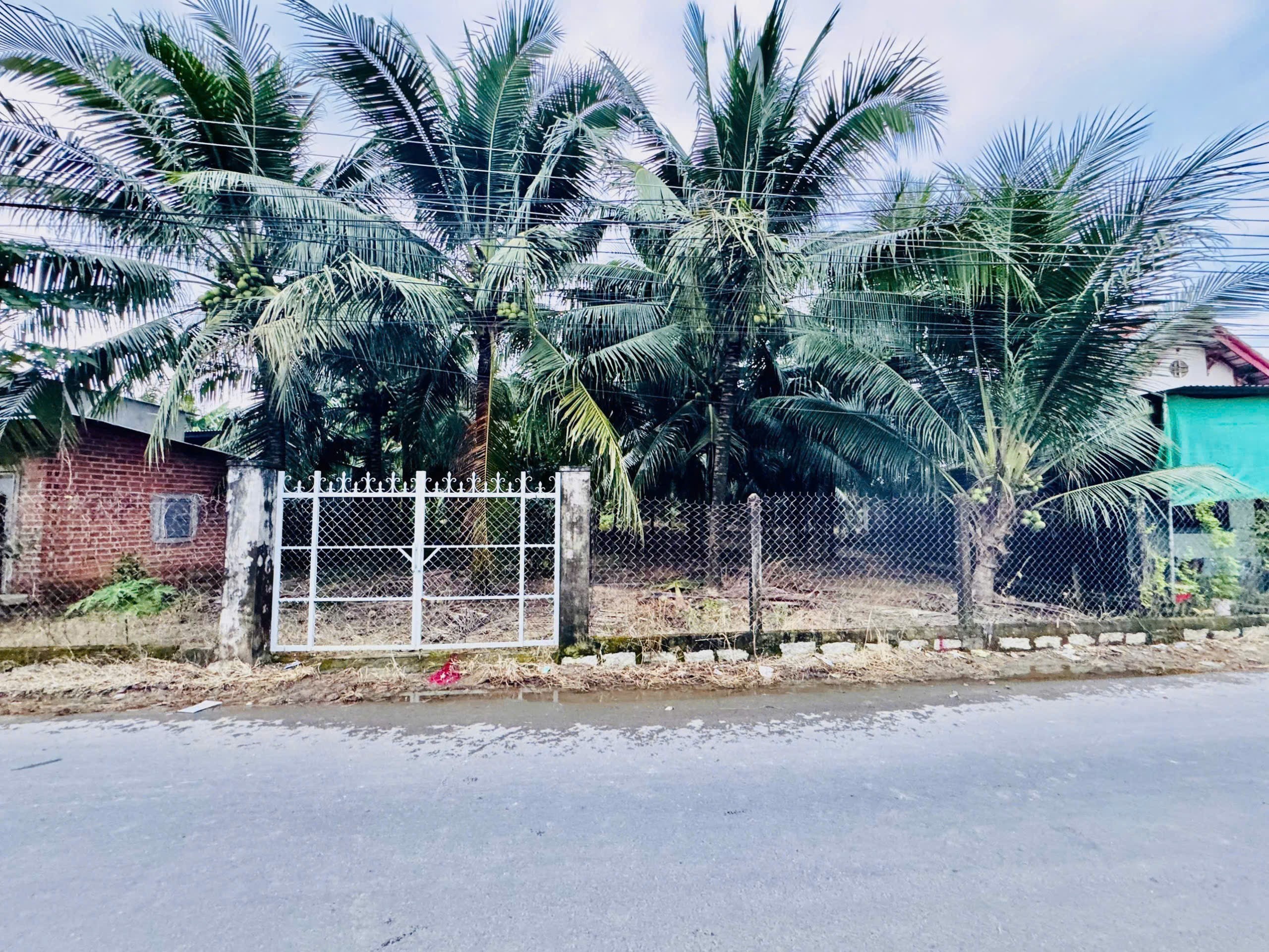 Bán đất Diên Hoà thôn Quang Thạnh mặt đường nhựa rộng 6m thông thoáng 3