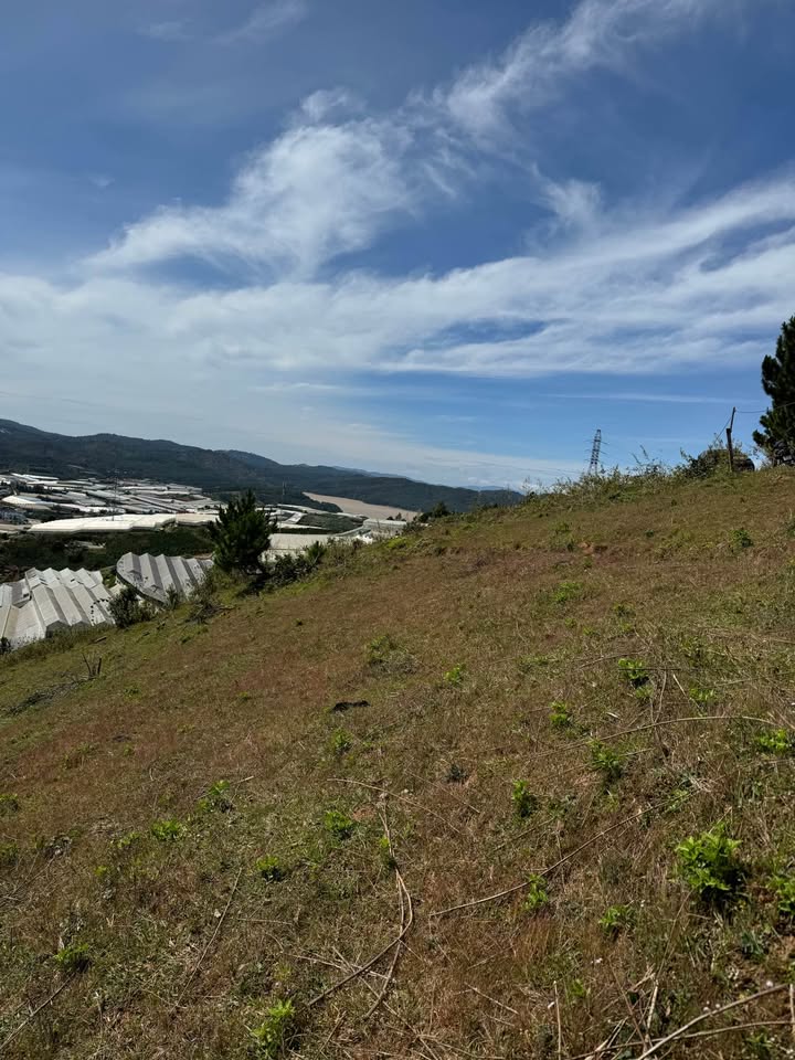 Cần Bán Gấp Lô Đất Rộng View Đẹp Tại Lạc Dương, Đà Lạt 9500m2 Giá 9 Tỷ 4