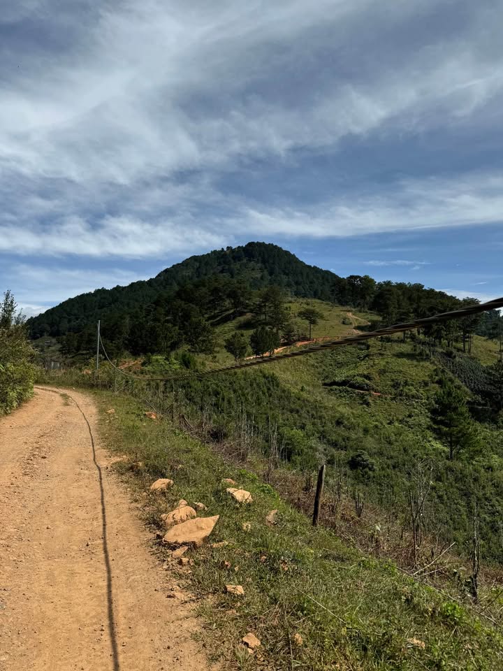 Cần Bán Gấp Lô Đất Rộng View Đẹp Tại Lạc Dương, Đà Lạt 9500m2 Giá 9 Tỷ 2