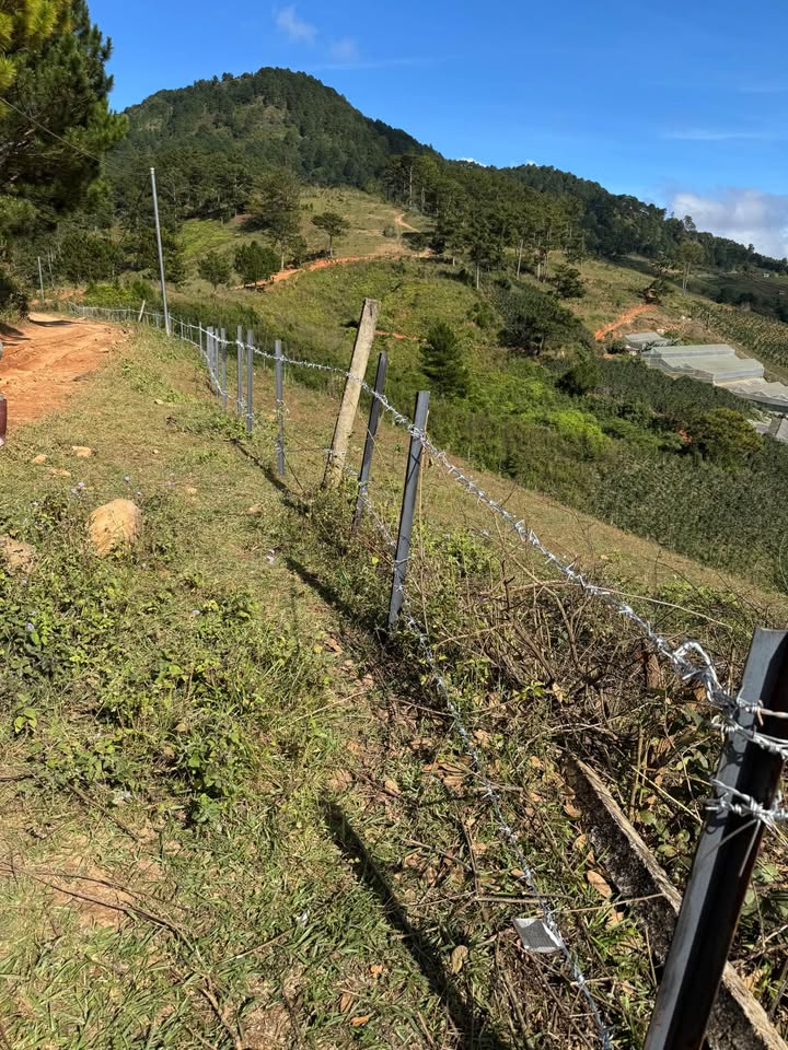 Cần Bán Gấp Lô Đất Rộng View Đẹp Tại Lạc Dương, Đà Lạt 9500m2 Giá 9 Tỷ