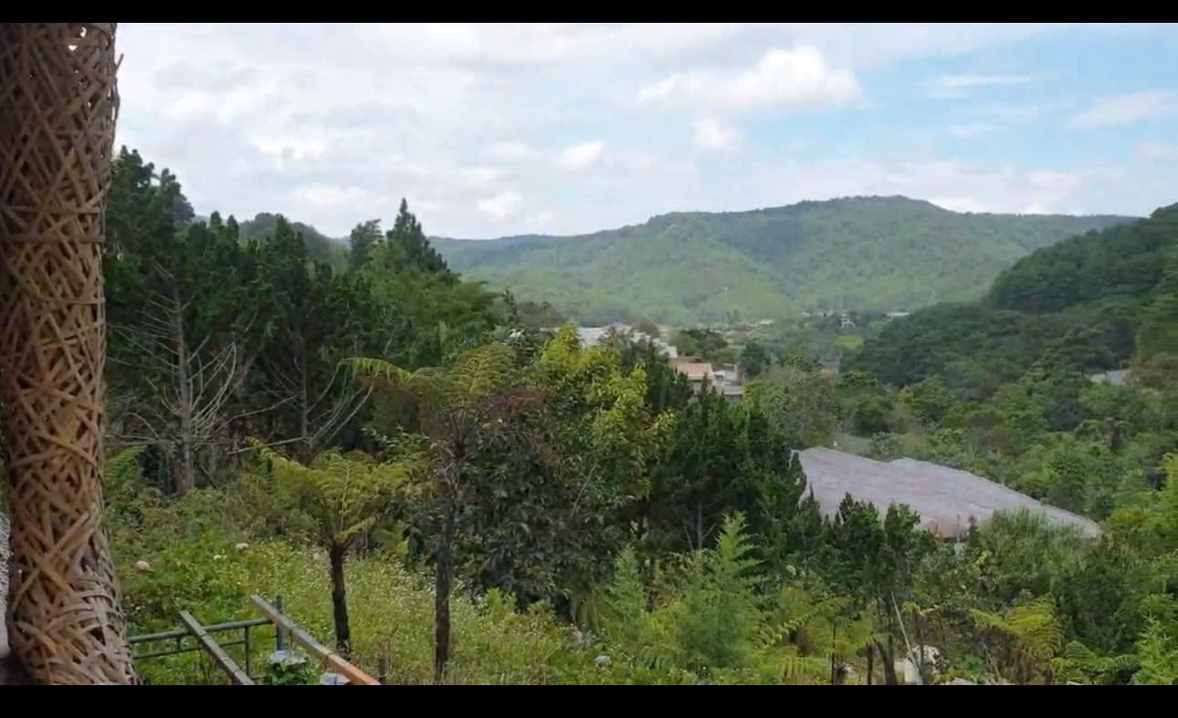 Siêu Phẩm Đất Rộng View Đẹp 14.000m2 Mặt Tiền Mimoza – Giảm Giá Bán Gấp Còn 42 Tỷ