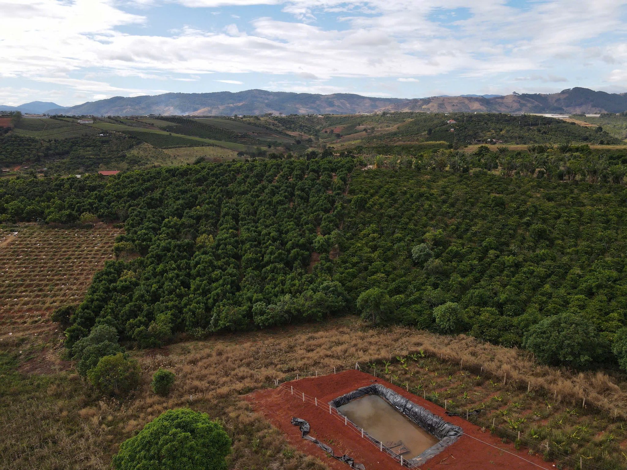 Bán Nhà Nghỉ Dưỡng View Rừng Thông – Ven Đà Lạt, Xã Mê Linh Giá 3 Tỷ 400 Triệu 3