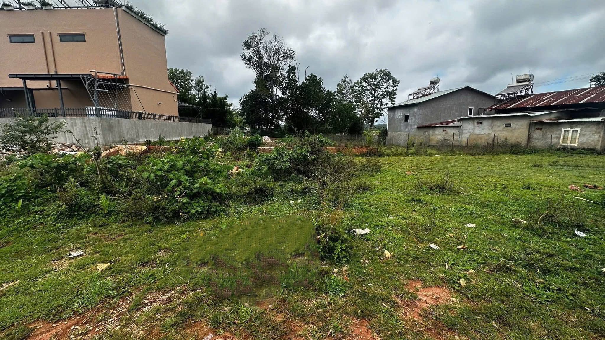 Cần Tiền Bán Đất Biệt Thự View Thoáng Khu Măng Ling, Đà Lạt 202m2 Giá Chỉ 5.5 Tỷ 3