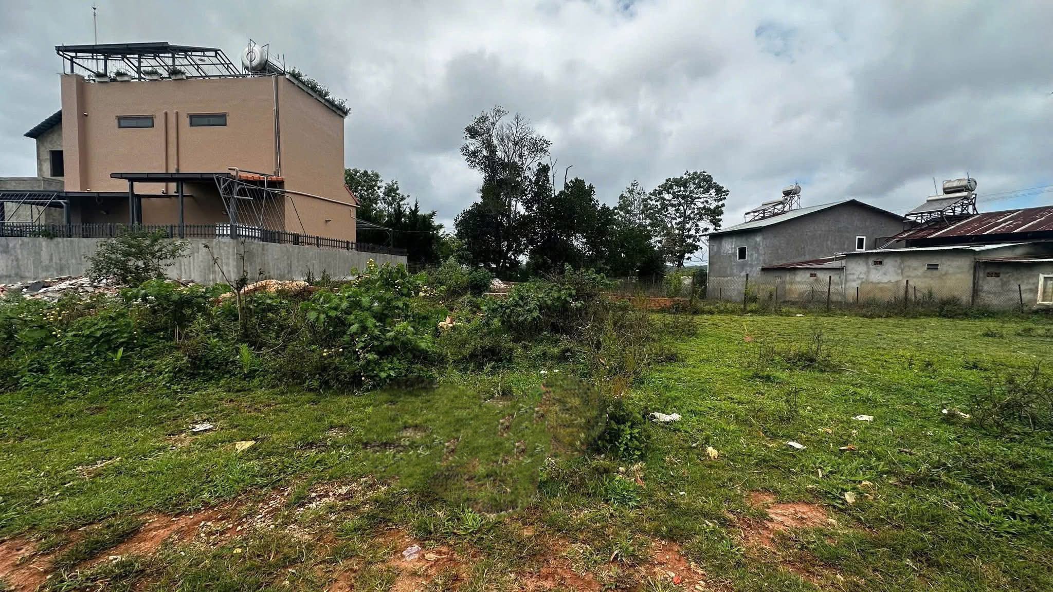 Cần Tiền Bán Đất Biệt Thự View Thoáng Khu Măng Ling, Đà Lạt 202m2 Giá Chỉ 5.5 Tỷ 2