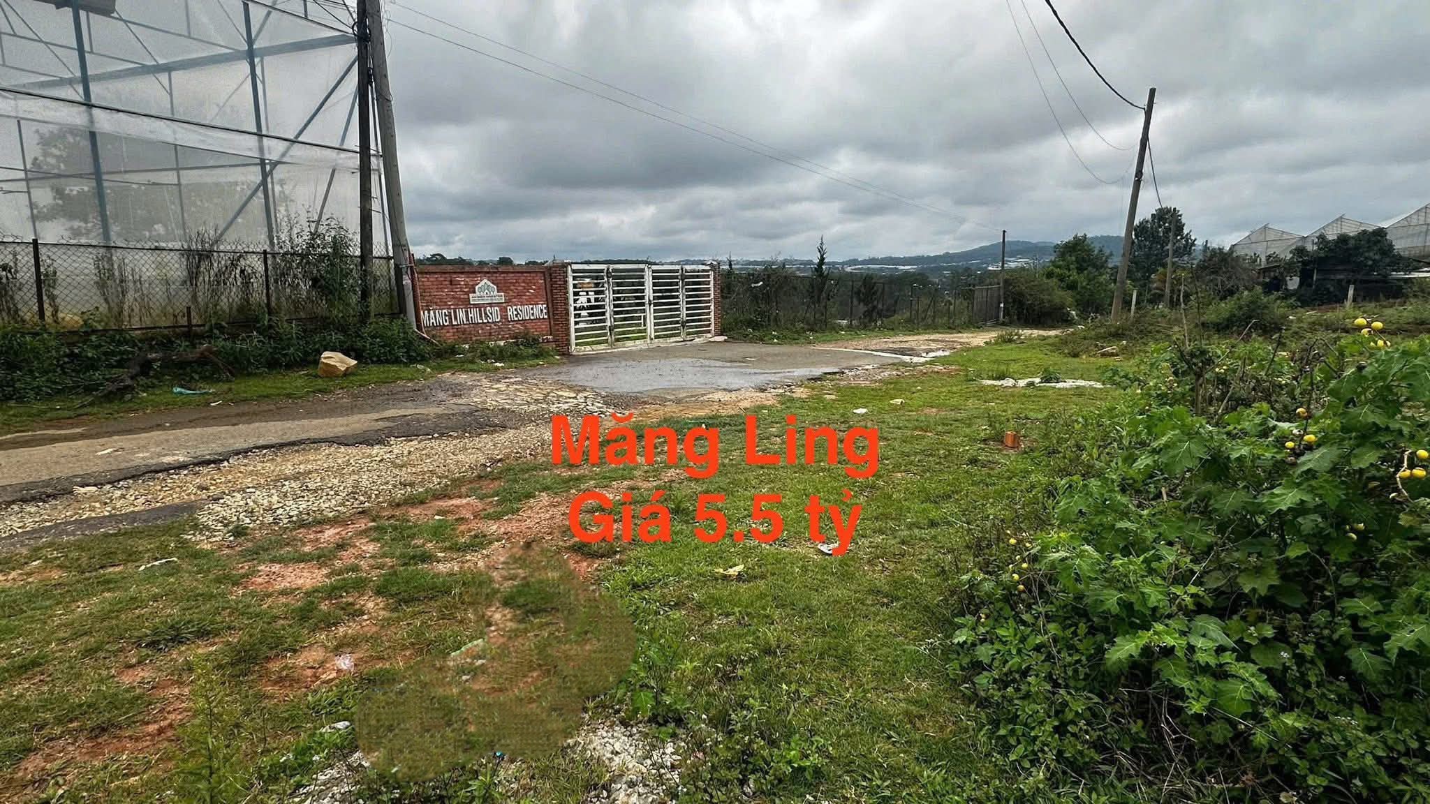 Cần Tiền Bán Đất Biệt Thự View Thoáng Khu Măng Ling, Đà Lạt 202m2 Giá Chỉ 5.5 Tỷ