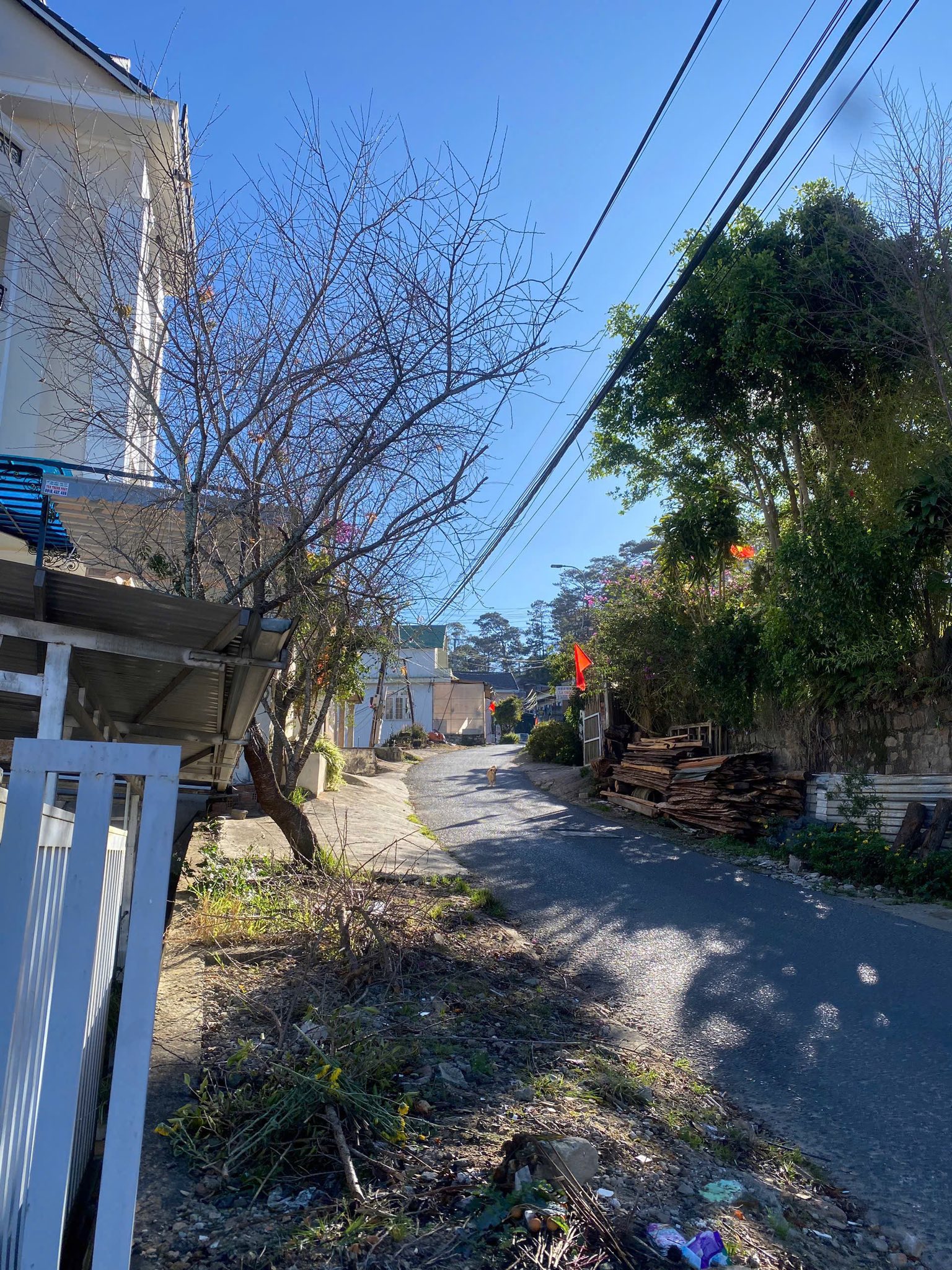 Cần Bán Nhà Nam Hồ, P.11, Đà Lạt - Sân Đậu Ô Tô Giá Bán 11.2 Tỷ 2