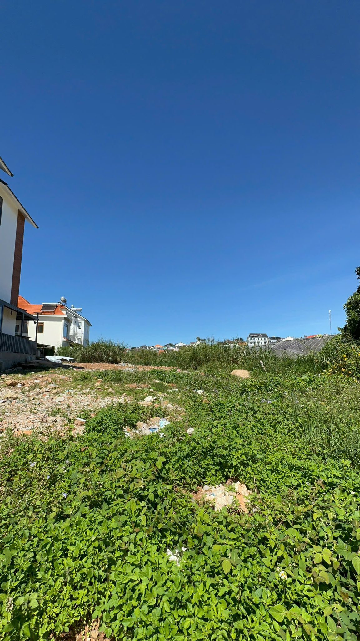 Cần Bán Gấp Đất Biệt Thự Rộng 2 Mặt Tiền Đường Nguyễn Hữu Cầu, Đà Lạt 500m2 Giá Chỉ 11 Tỷ 2