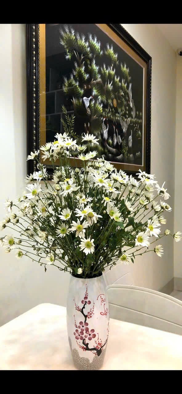 Bán nhà mặt tiền Ngã 7 trung tâm Nha Trang – đường Núi Một – 3 tầng 1 tum – giá 10,5 tỷ 3