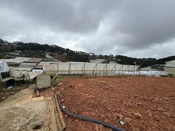 Cần Bán Gấp Đất Biệt Thự View Thoáng Đường Trịnh Hoài Đức, Đà Lạt Giá 7 Tỷ 2