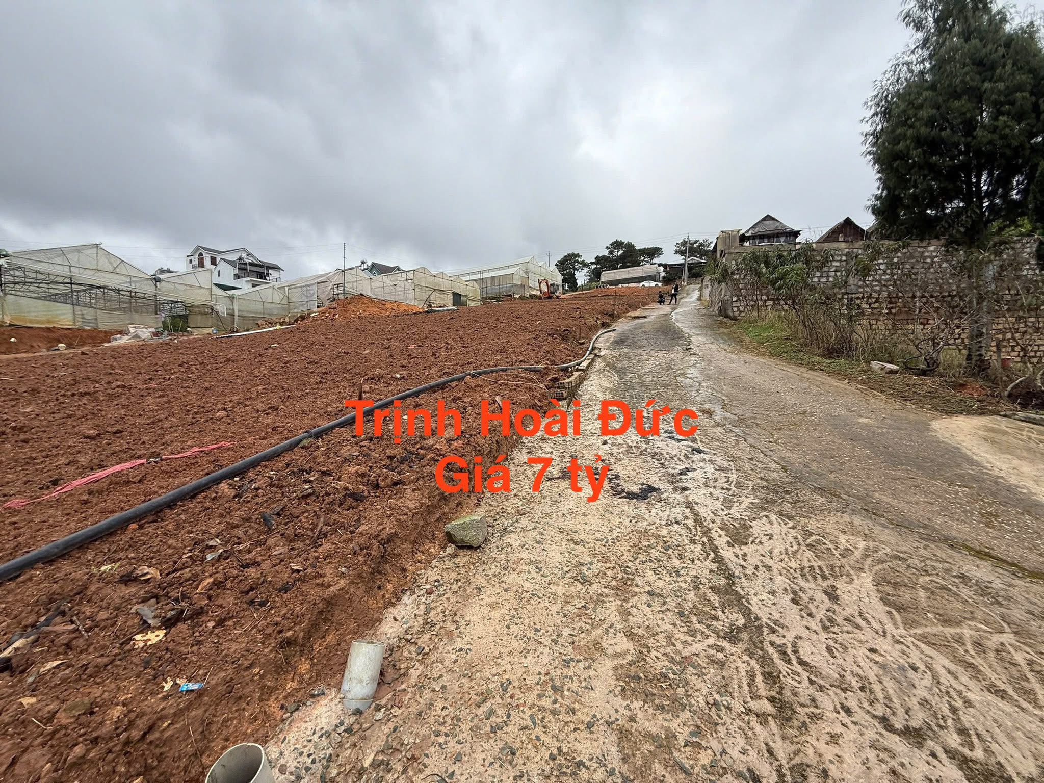 Cần Bán Gấp Đất Biệt Thự View Thoáng Đường Trịnh Hoài Đức, Đà Lạt Giá 7 Tỷ