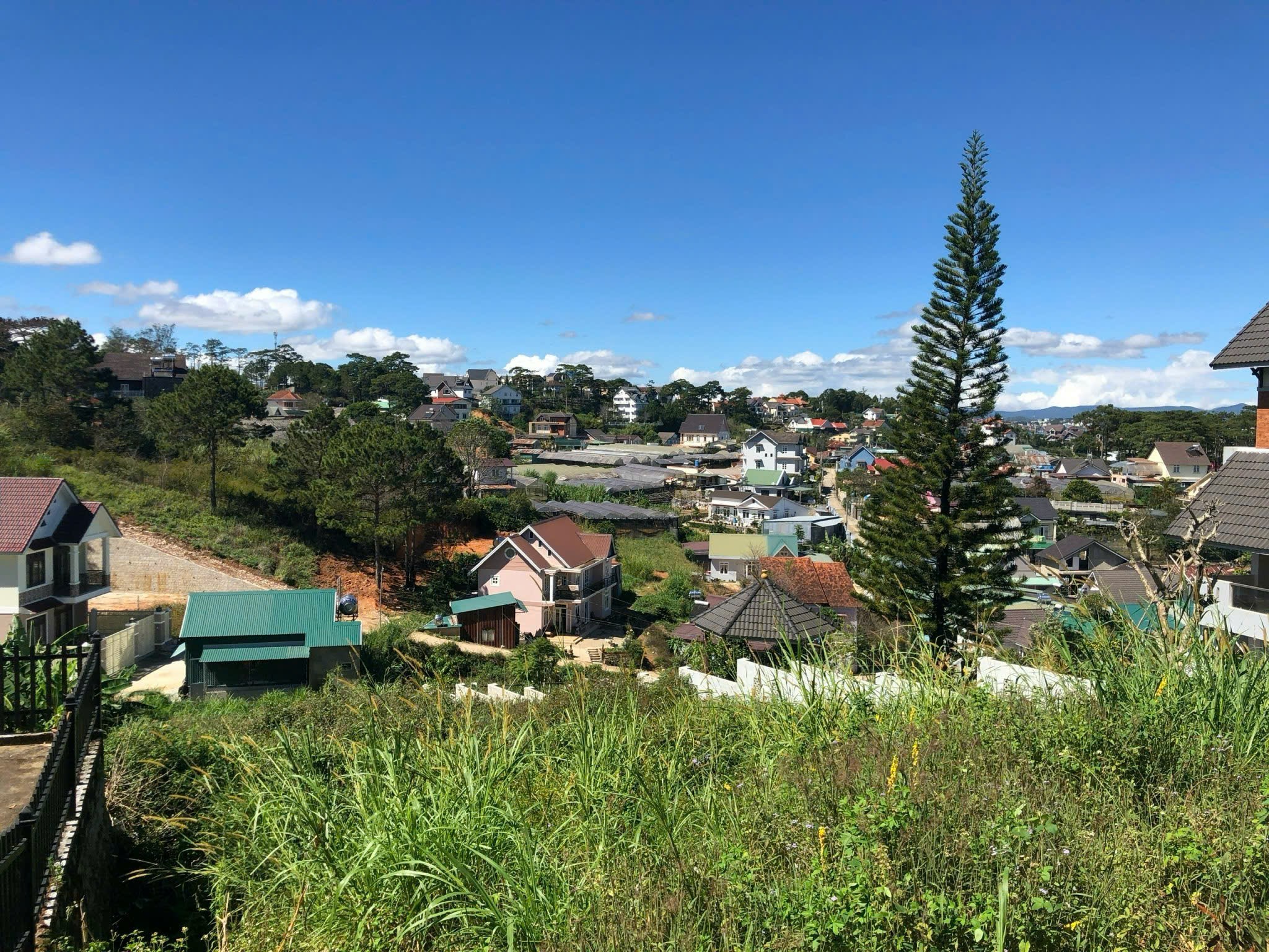 Cần Bán Gấp Đất Biệt Thự View Thoáng Đường Trịnh Hoài Đức, Đà Lạt Giá 7 Tỷ 3