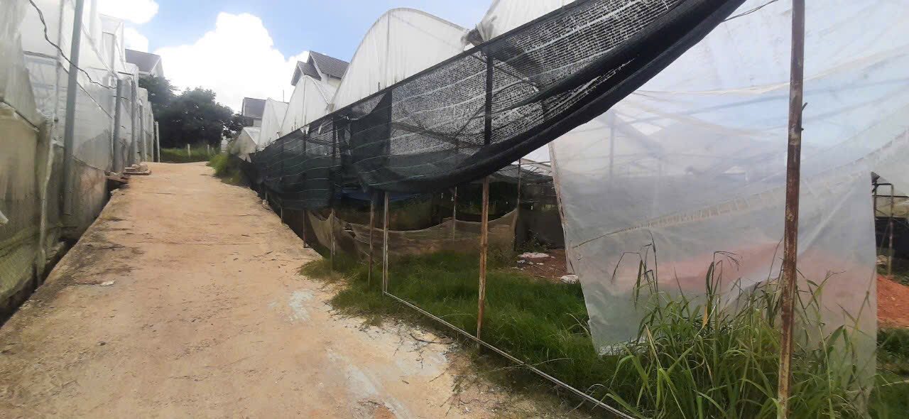 CẦN BÁN GẤP TRONG TUẦN LÔ ĐẤT BIỆT THỰ VIEW THOÁNG TẠI P. LÂM VIÊN - ĐÀ LẠT 500M2 GIÁ CHỈ 7.5 TỶ 2