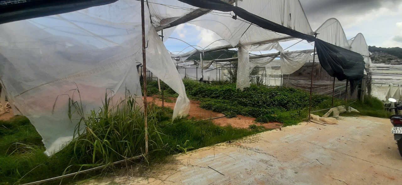 CẦN BÁN GẤP TRONG TUẦN LÔ ĐẤT BIỆT THỰ VIEW THOÁNG TẠI P. LÂM VIÊN - ĐÀ LẠT 500M2 GIÁ CHỈ 7.5 TỶ