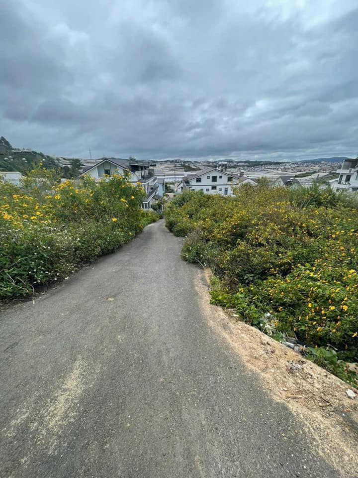 CẦN BÁN GẤP TRONG TUẦN LÔ ĐẤT BIỆT THỰ VIEW THOÁNG TẠI P. LÂM VIÊN - ĐÀ LẠT 500M2 GIÁ CHỈ 7.5 TỶ 3