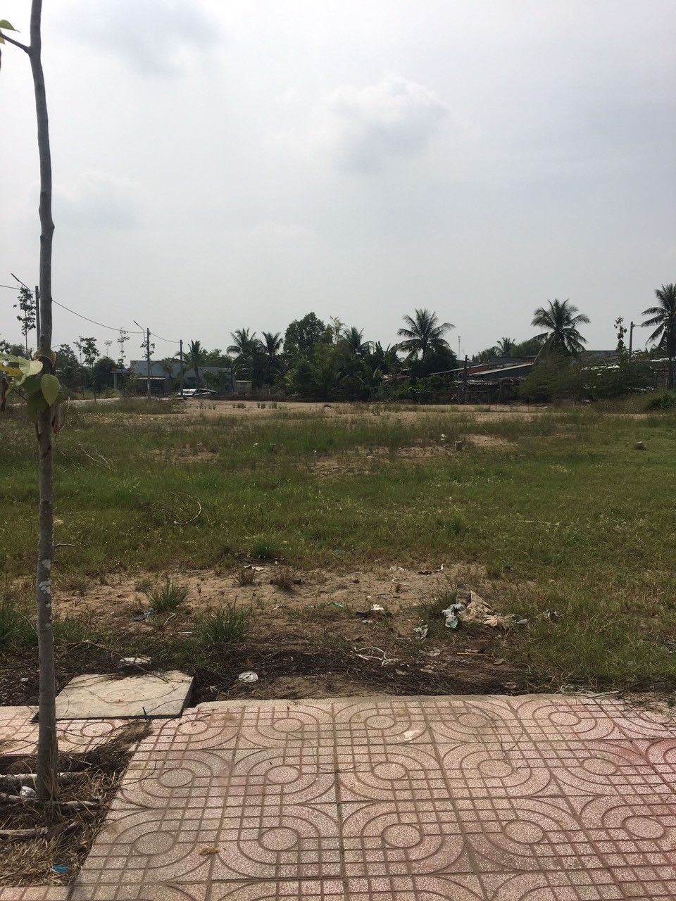 Đất nền 83m2 kdc Tân Mỹ xã Mỹ Lệ cần bán gấp 1 tỏi 150tr 3