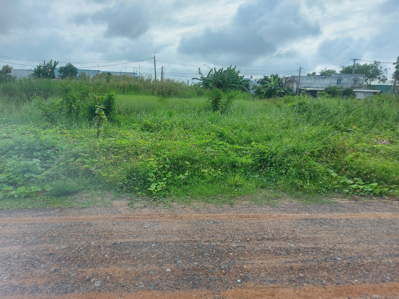 Đất nền kdc Phước Đông 100m2 giá ngộp bán gấp 860tr 2