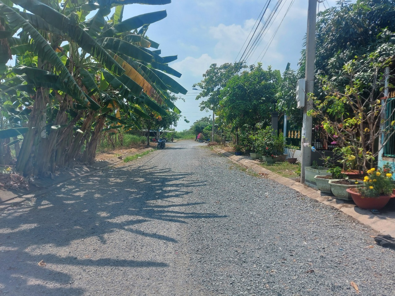 Chủ cần bán gấp nền tđc Phước Đông 100m2 giá ngộp 800tr 2