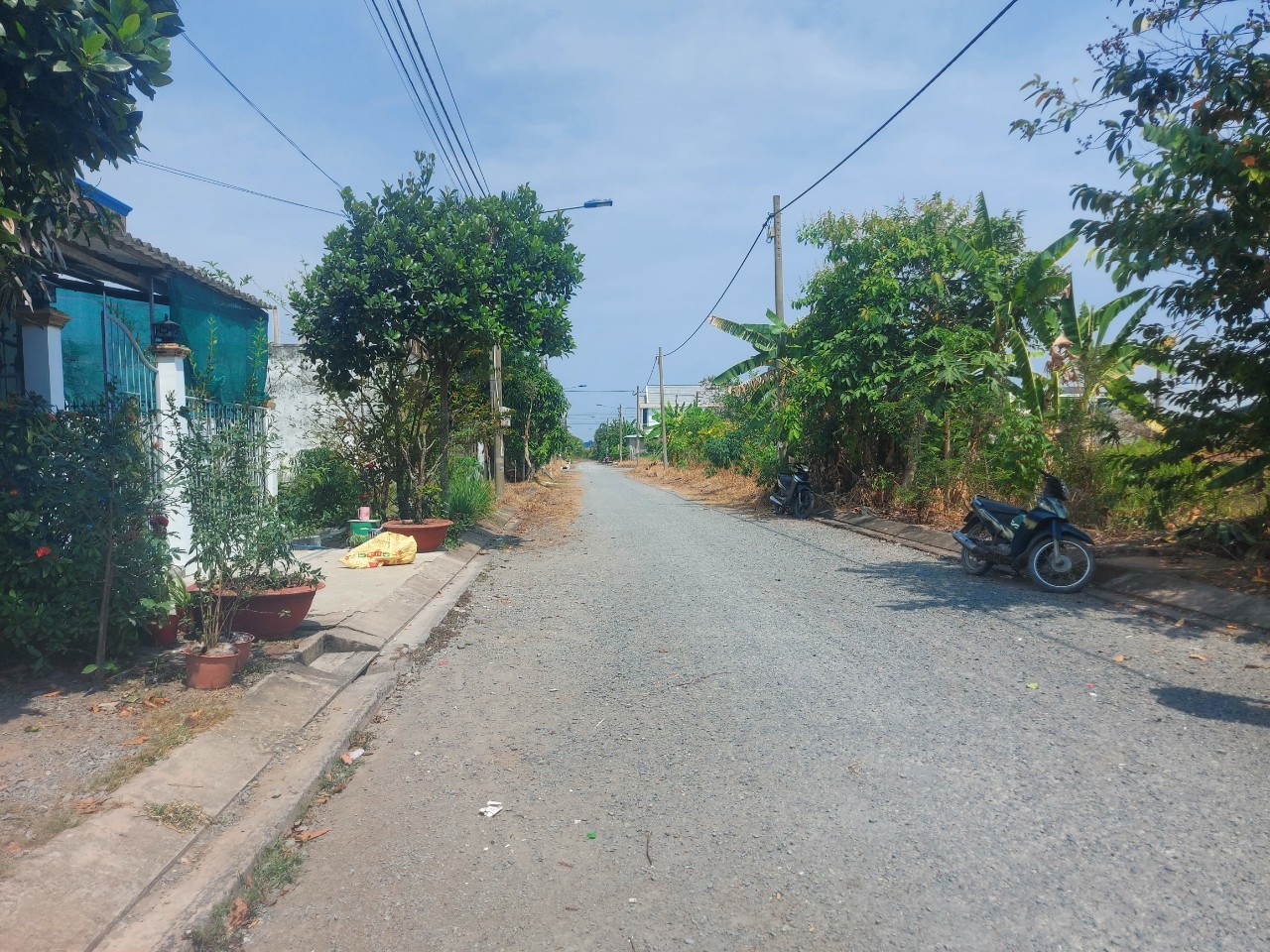 Chủ cần bán gấp nền tđc Phước Đông 100m2 giá ngộp 800tr 3