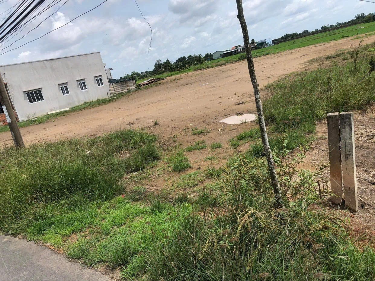 Đất thổ cư 250m2 mt nhựa 9m xã Phước Tuy giá rẻ cho khách đầu tư mua 1 tỏi 7 4