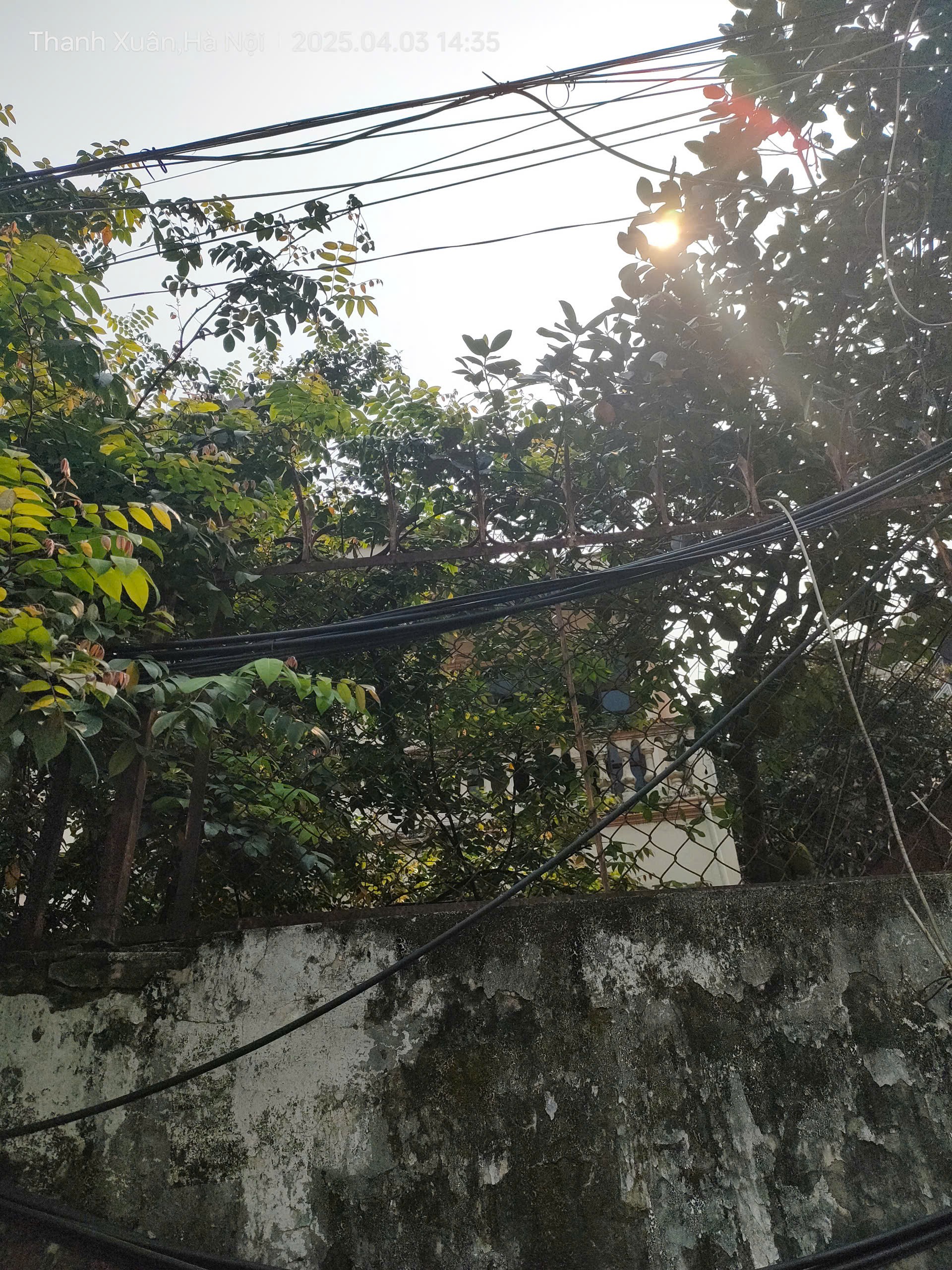 Bán gấp giá rẻ Giải Phóng 70m, cấp 4, mặt tiền 4.5m, 1.05 tỷ Hoàng Mai. 3