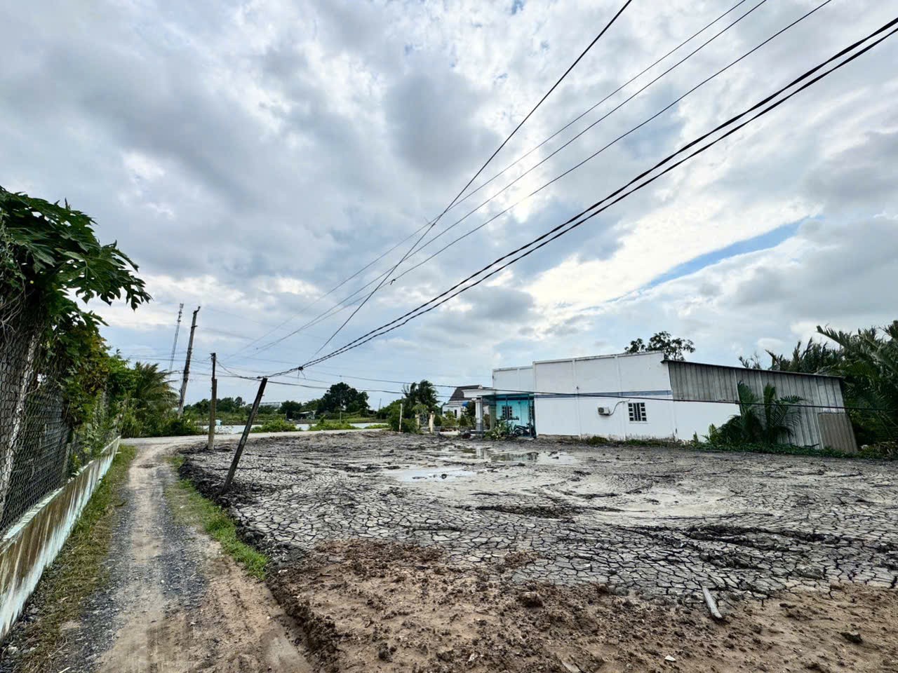 Đất thổ cư 182m2 lô góc 2 mt đường nhựa xã Cần Đước giá rẻ 1 tỏi 30tr 4