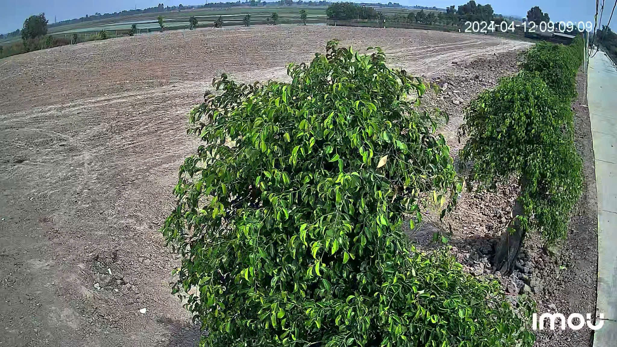 SIÊU PHẨM VIP – QUỸ ĐẤT KHỦNG 2 MẶT TIỀN TỈNH LỘ 7, CỦ CHI GIÁ ĐẦU TƯ 2