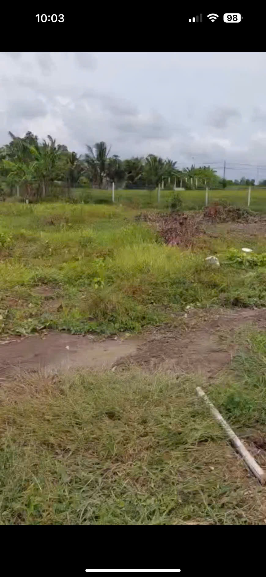 Đất thổ lúa 1000m2 thích hợp làm nhà vườn giá rẻ 1 tỏi 250tr 2