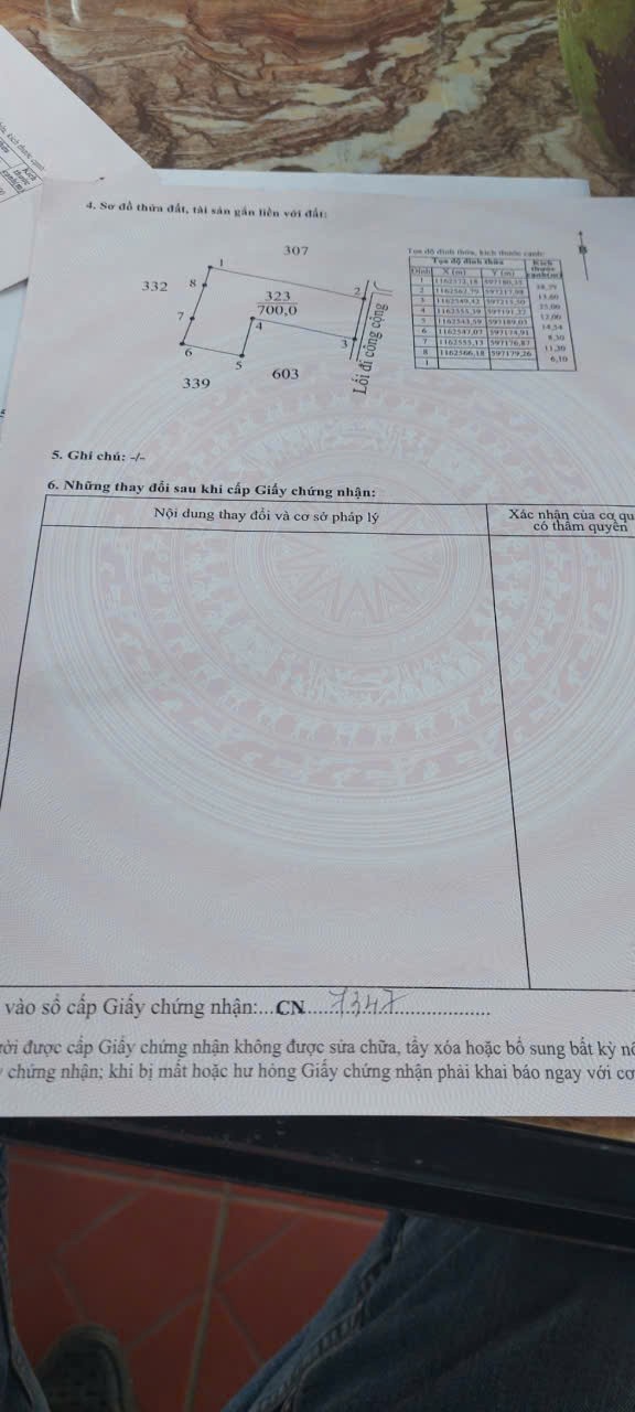 Đất thổ lúa 1000m2 thích hợp làm nhà vườn giá rẻ 1 tỏi 250tr 6