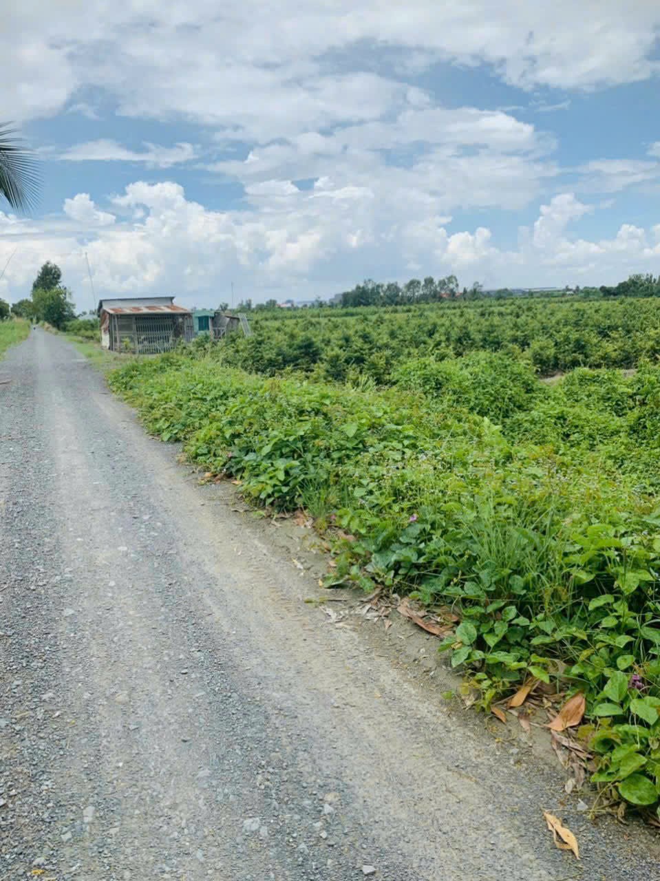 Bán đất mặt tiền Võ Văn Kiệt ( Kênh 9 ) LMX, Bình Chánh