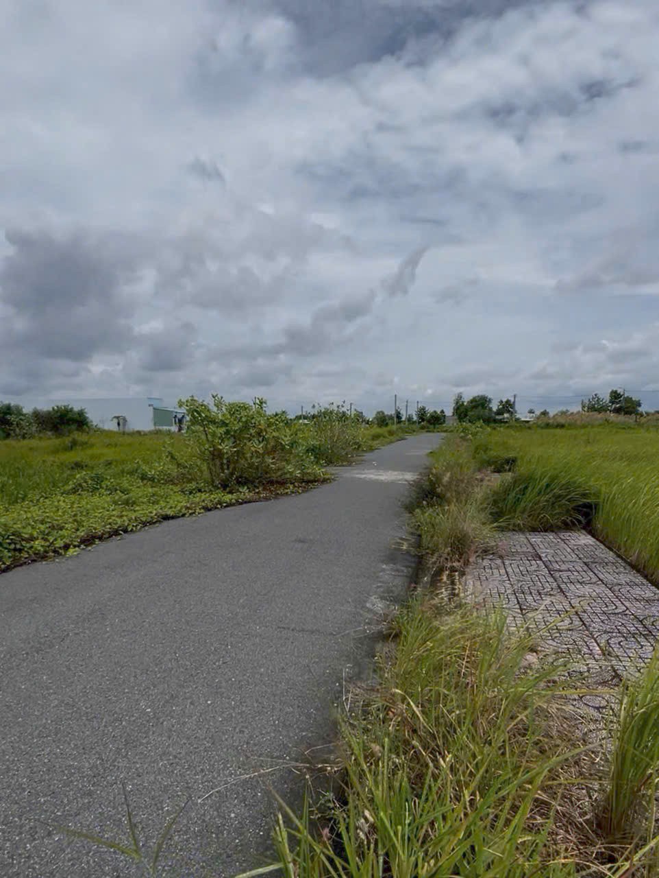 Đất nền 81m2 kdc Tân Lân 5 Hiệp chủ bán xả lỗ 650tr 4