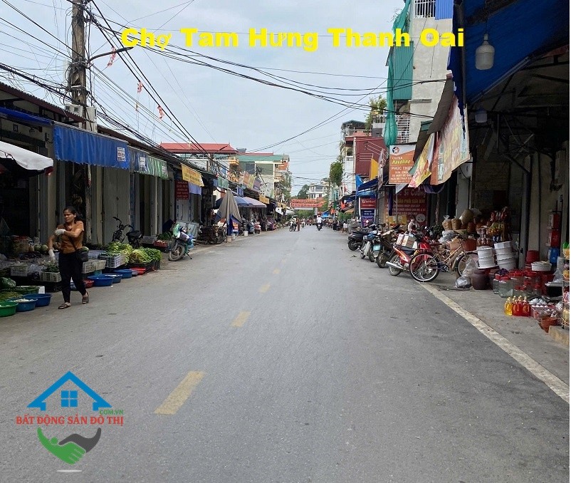 Bán đất Tam Hưng Thanh Oai, 42m2 ô tô, tài chính Nhỏ, Tiện Ích ngập tràn