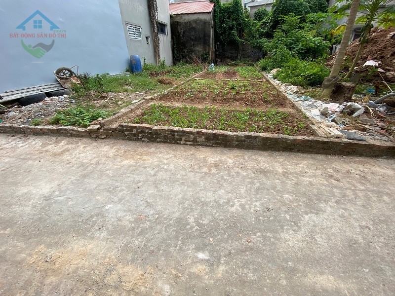 Bán đất Tam Hưng Thanh Oai, 42m2 ô tô, tài chính Nhỏ, Tiện Ích ngập tràn 2