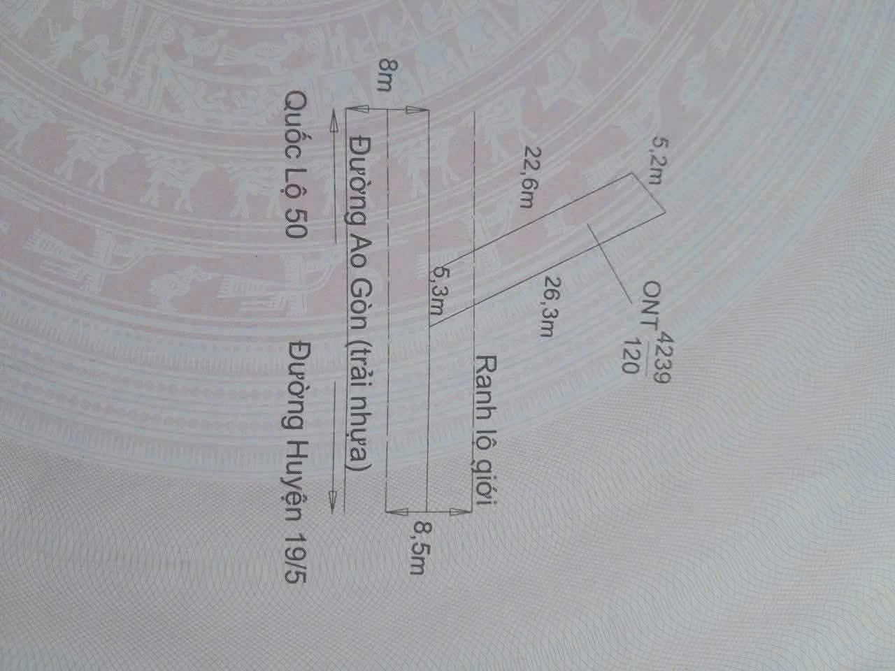 Đất thổ cư 120m2 mt nhựa Ao Gòn 8m xã Tân Lân giá ngộp đầu tư 950tr 5