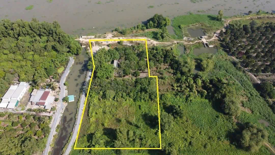 ĐẤT MẶT TIỀN SÔNG SÀI GÒN – LÔ ĐẤT ĐẸP (5.000M) TẠI TRUNG AN, CỦ CHI! 2