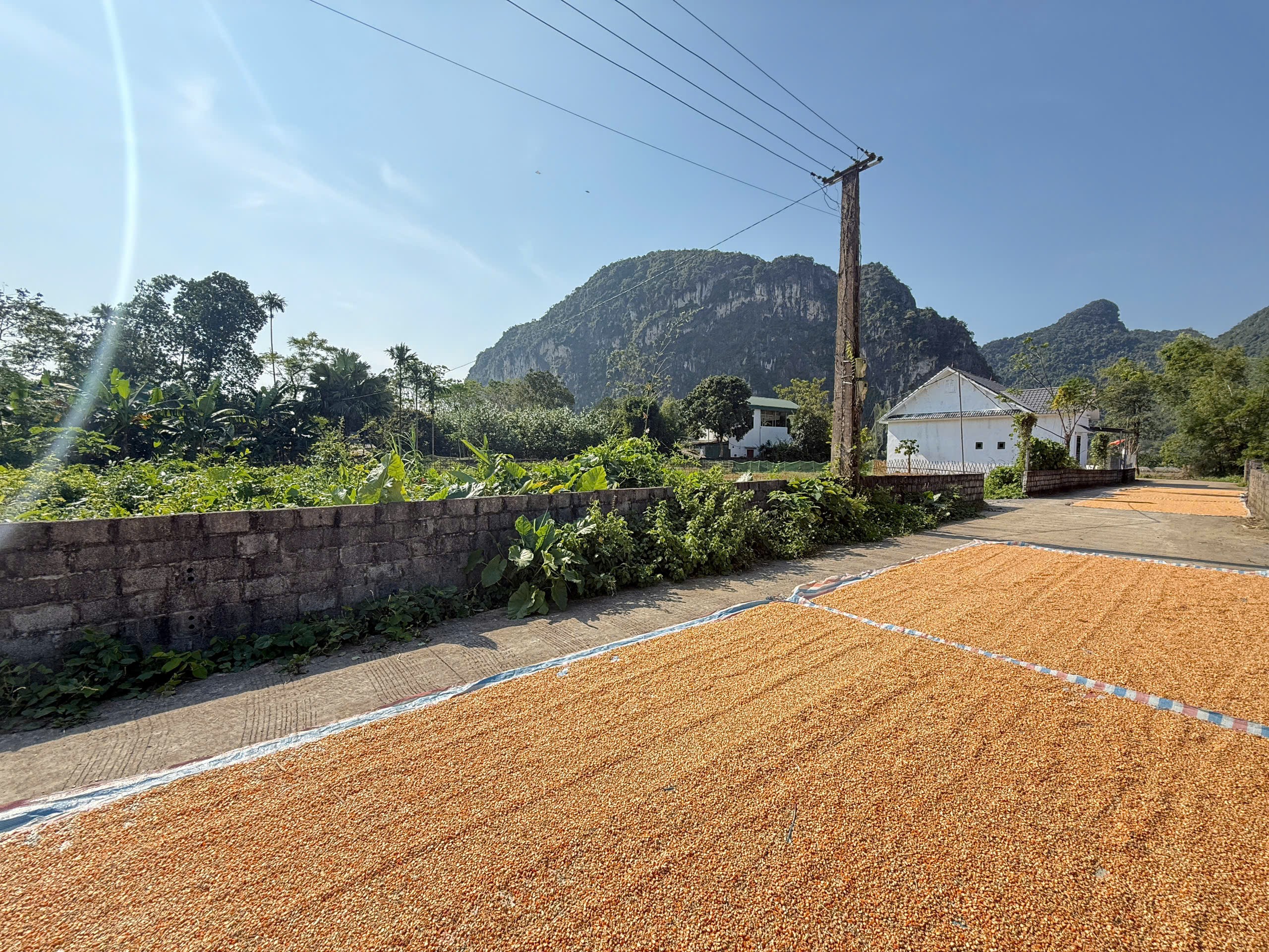 Cần bán Đất Xã Nam Thượng, Kim Bôi, Diện tích 146m², Giá 580 Triệu