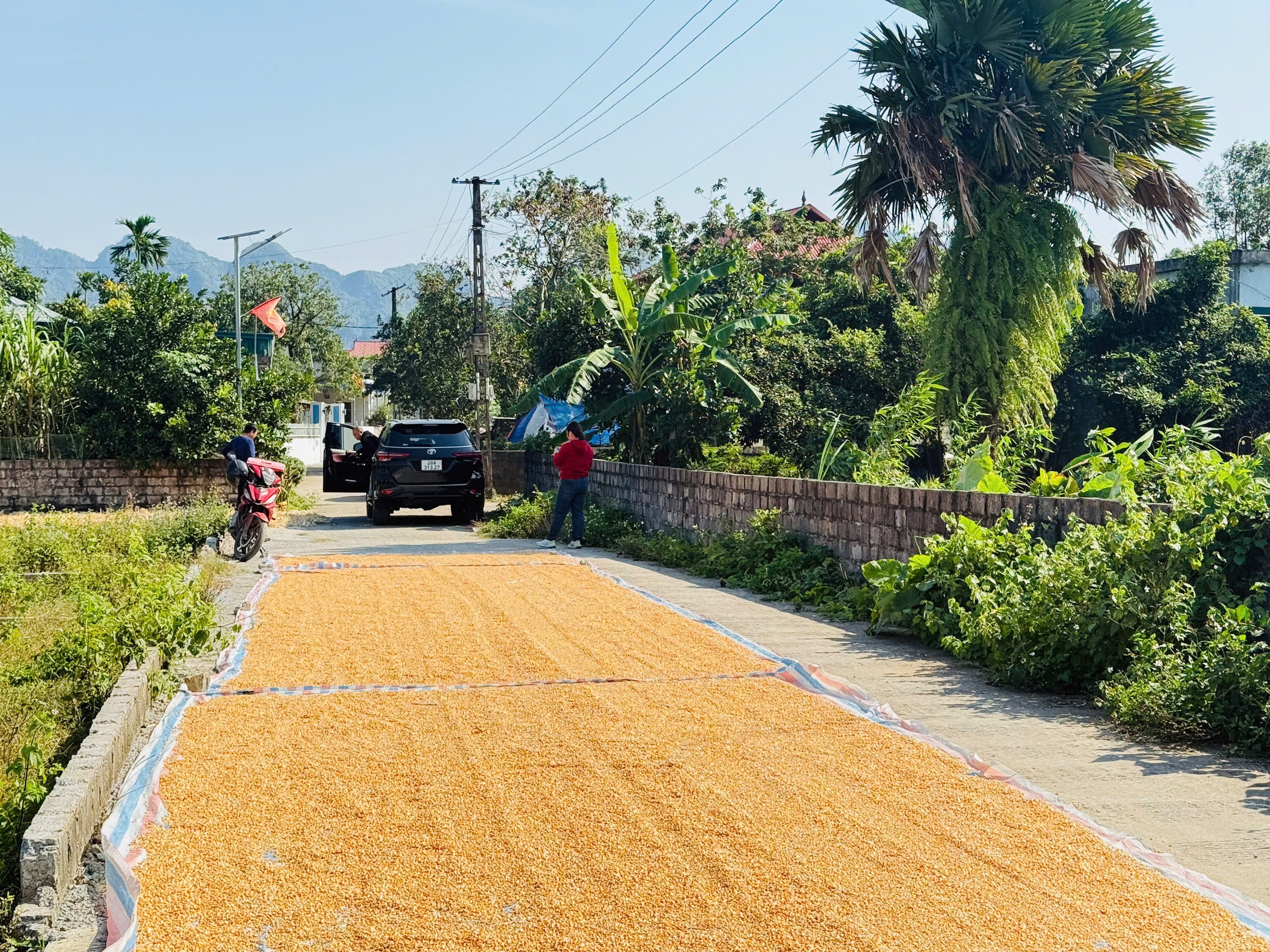 Cần bán Đất Xã Nam Thượng, Kim Bôi, Diện tích 146m², Giá 580 Triệu 2