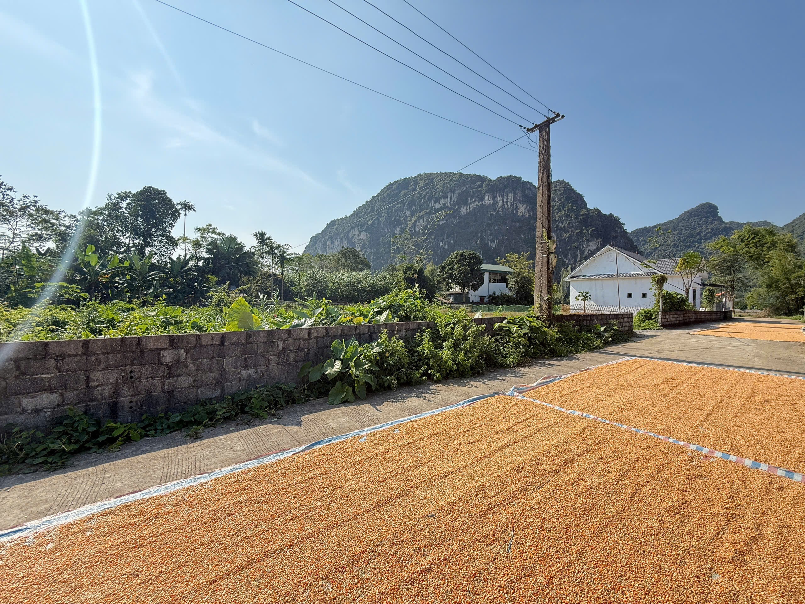 Cần bán Đất Xã Nam Thượng, Kim Bôi, Diện tích 146m², Giá 580 Triệu 3