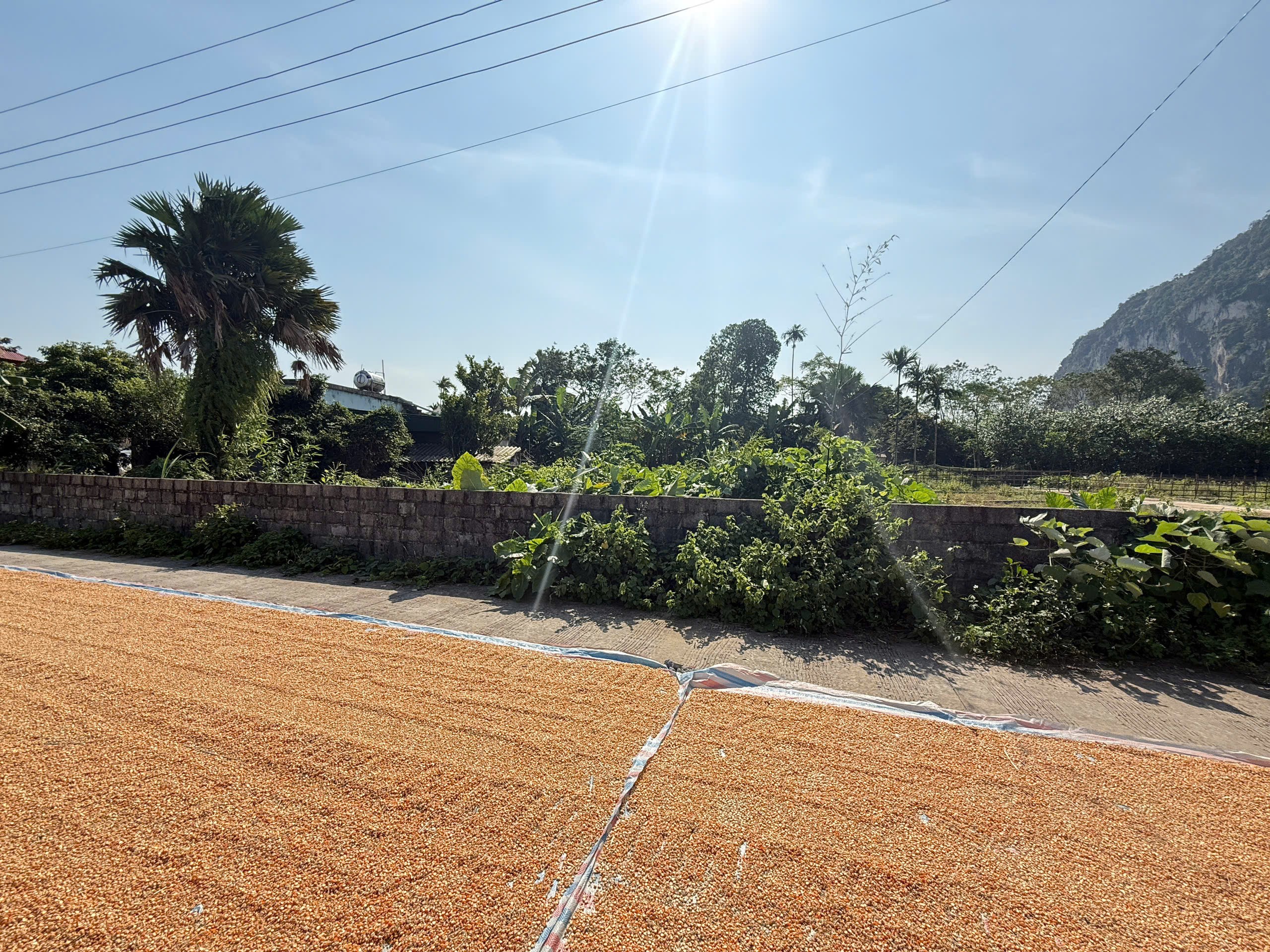 Cần bán Đất Xã Nam Thượng, Kim Bôi, Diện tích 146m², Giá 580 Triệu 4