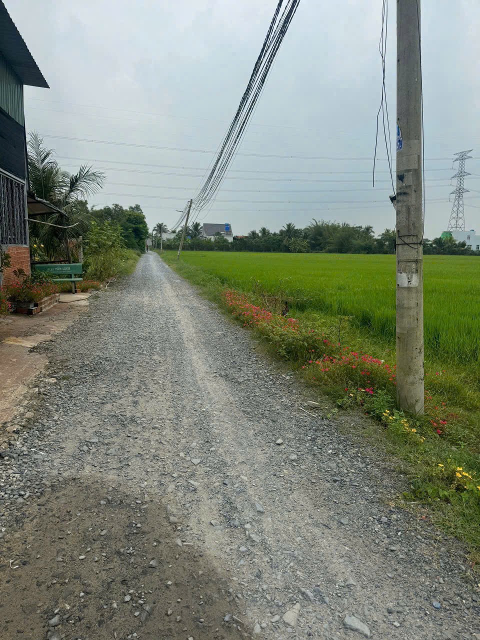 Bán đất thổ cư xã Hòa Khánh Đông , Đức Hòa dt 145m2 giá 880 triệu