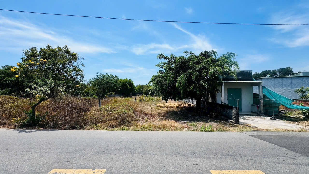 Cần bán Đất đường Tỉnh lộ 44A, Thị trấn Phước Hải, Diện tích 803m², Giá Thương lượng 2