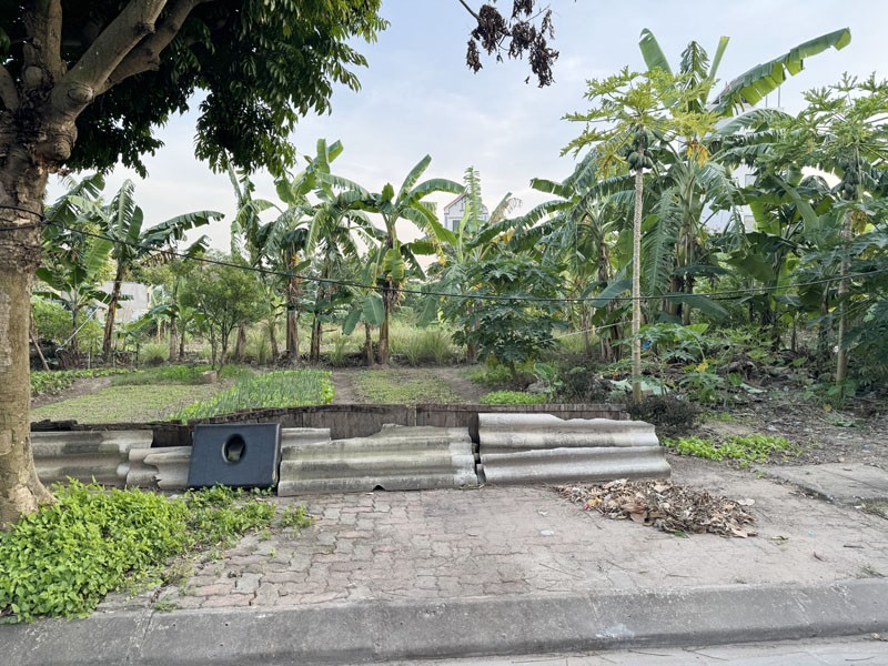 RA HÀNG DUY NHẤT! 80M2 TĐC Kim Sơn - Thuận An: Vị Trí Kim Cương, Sổ Đỏ Kẹp Nách