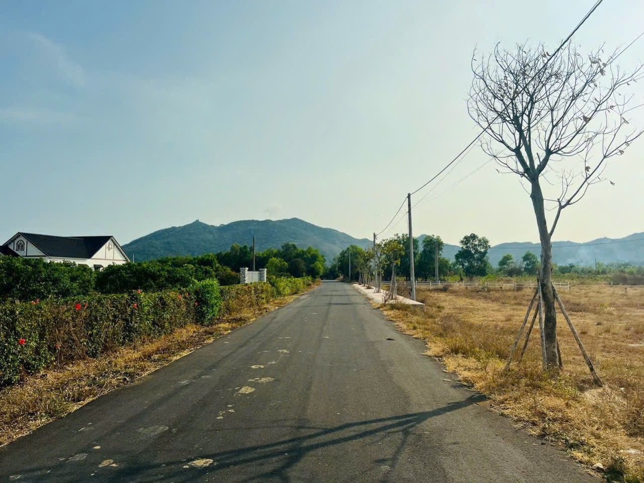 Cần bán Đất đường Tỉnh lộ 44A, Thị trấn Phước Hải, Diện tích 194m², Giá Thương lượng 4