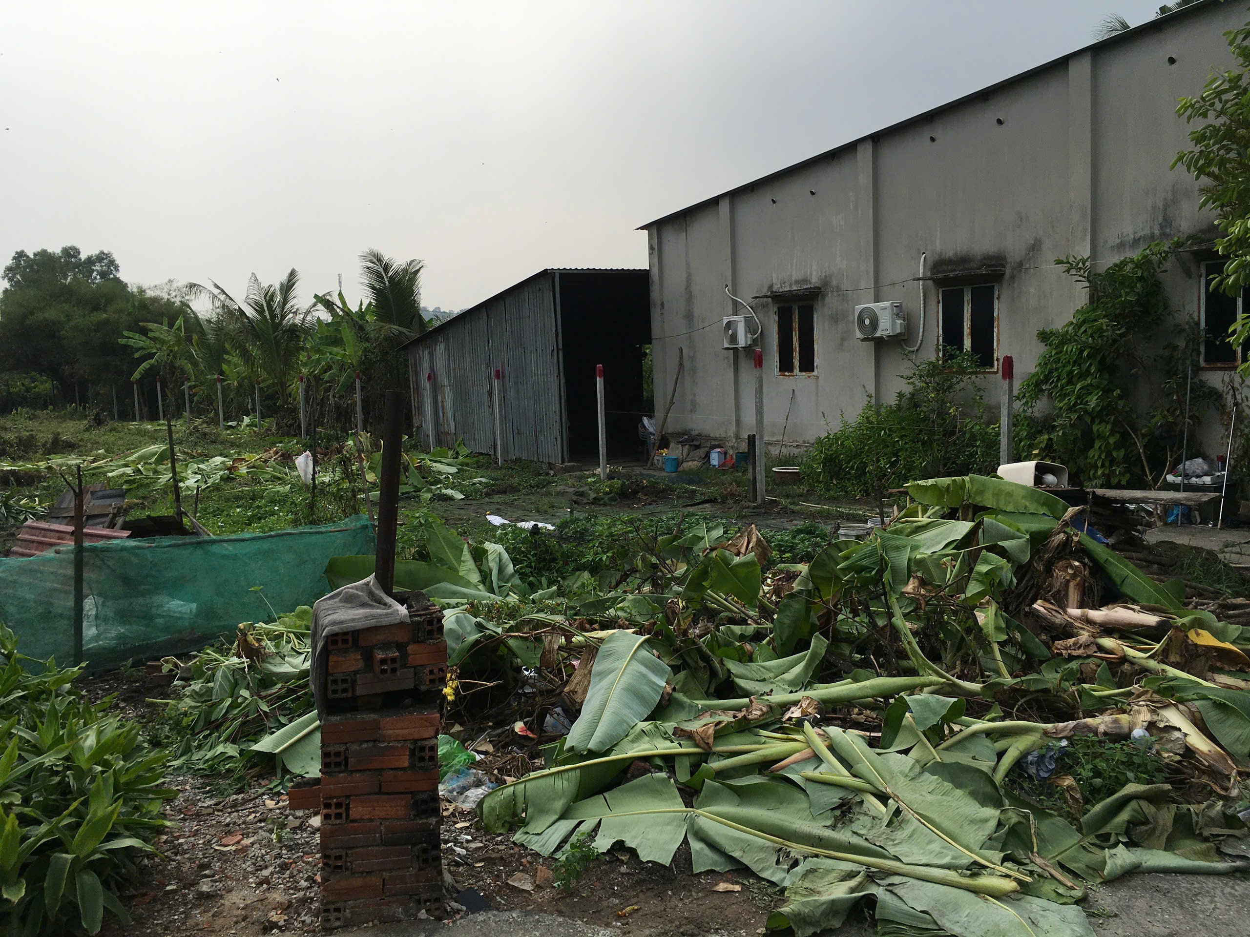 Cần bán Đất Phường Long Thạnh Mỹ, Quận 9, Diện tích 1067m², Giá 26 Tỷ 2