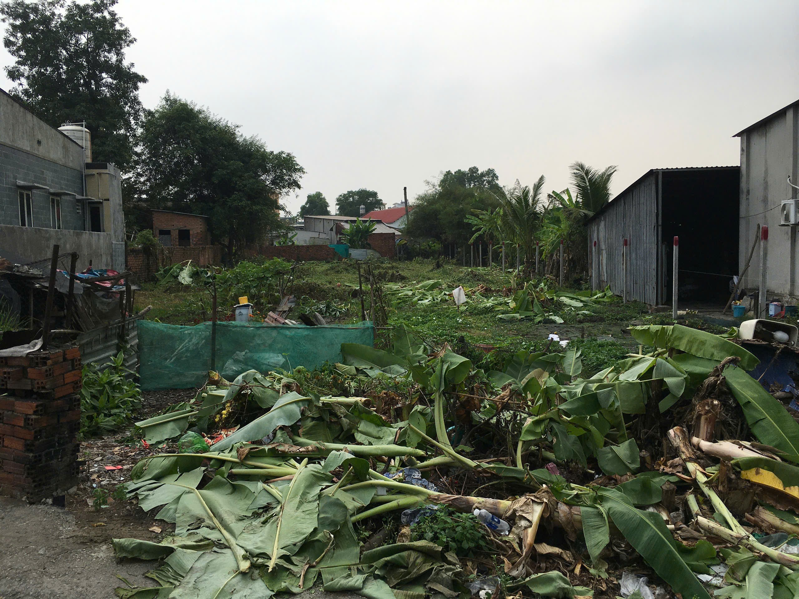 Cần bán Đất Phường Long Thạnh Mỹ, Quận 9, Diện tích 1067m², Giá 26 Tỷ 3