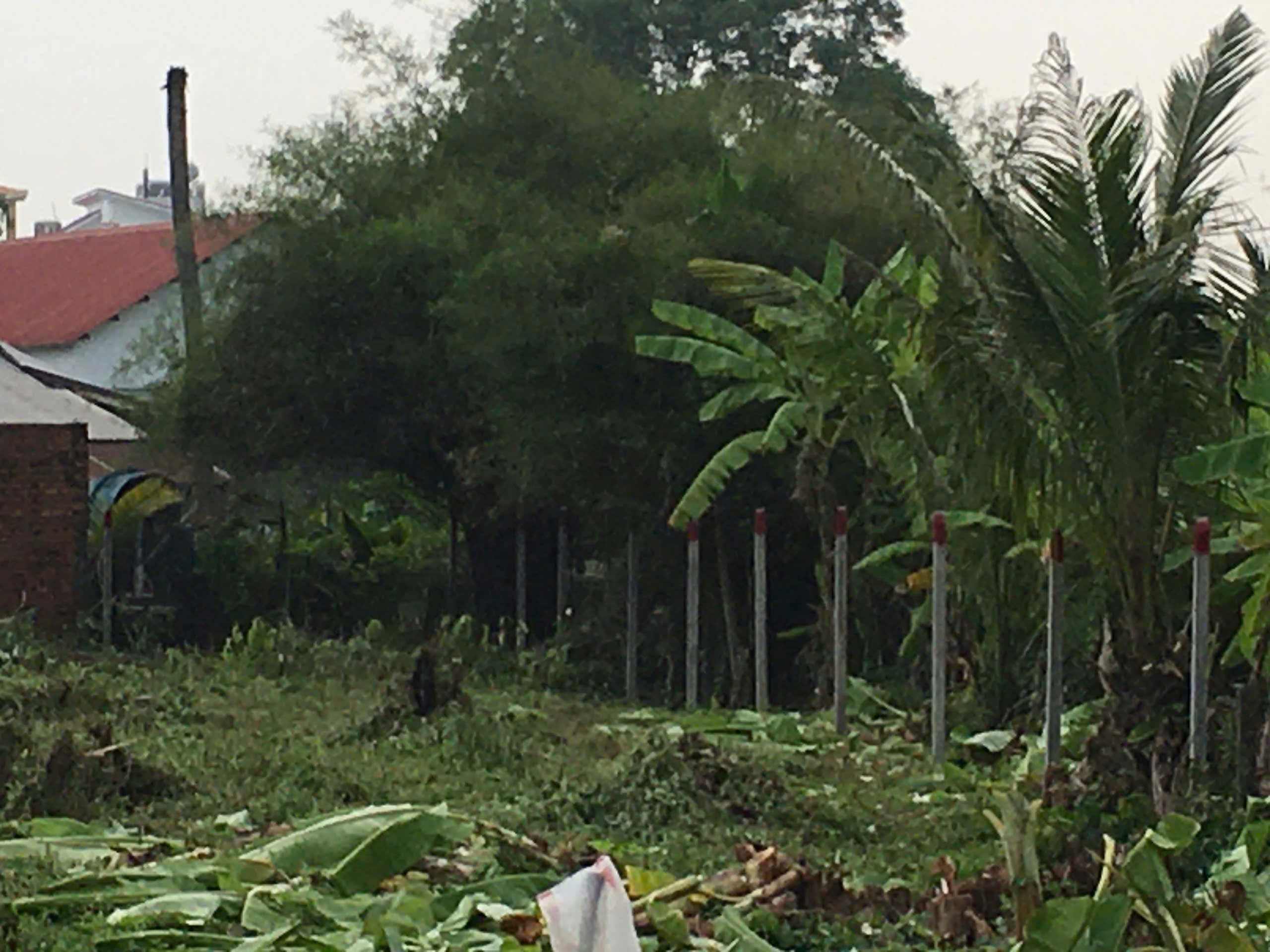 Cần bán Đất Phường Long Thạnh Mỹ, Quận 9, Diện tích 1067m², Giá 26 Tỷ 4