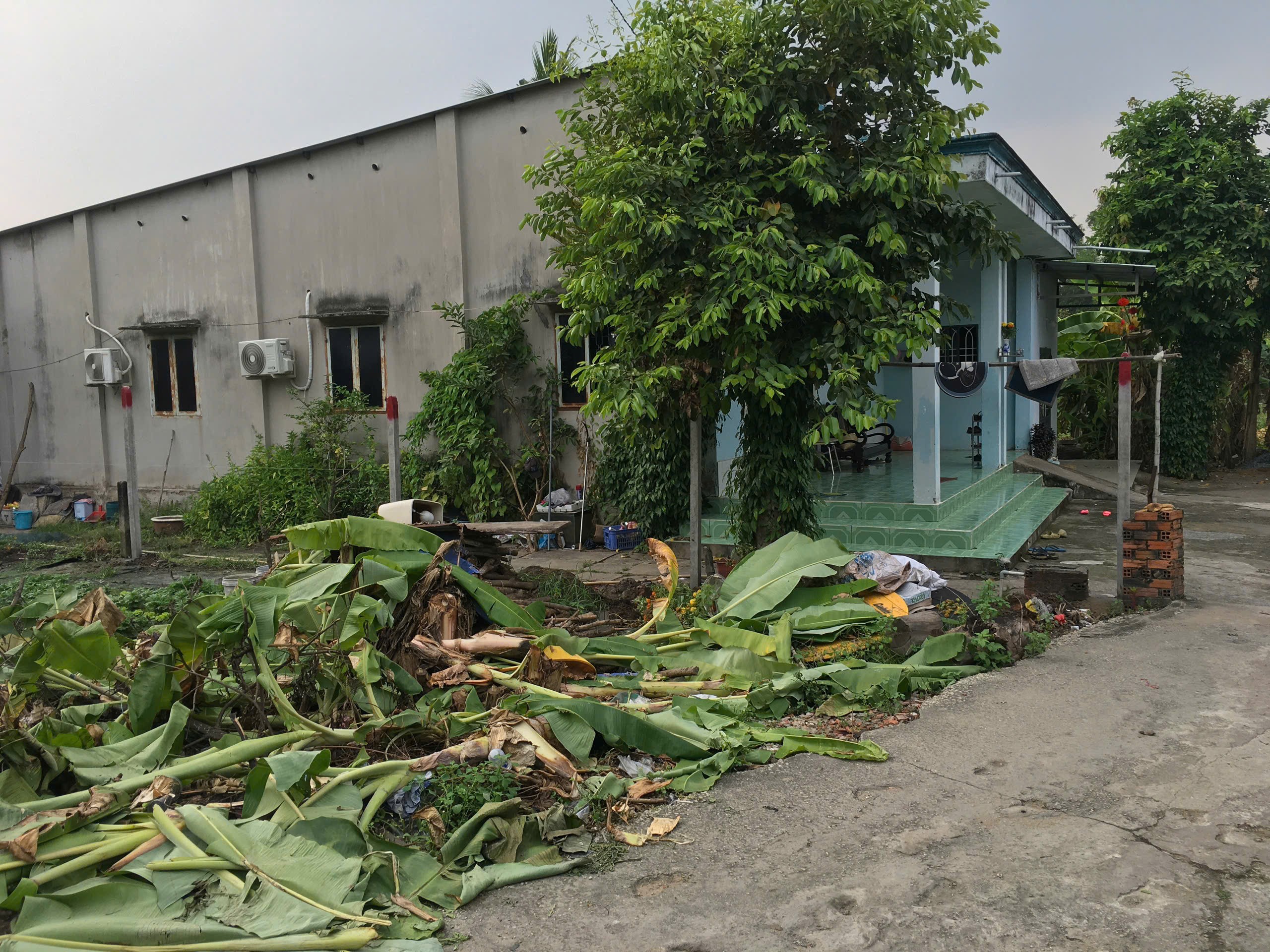 Cần bán Đất Phường Long Thạnh Mỹ, Quận 9, Diện tích 1067m², Giá 26 Tỷ